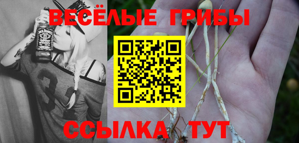 Псилоцибиновые грибы Magic Shrooms Костомукша