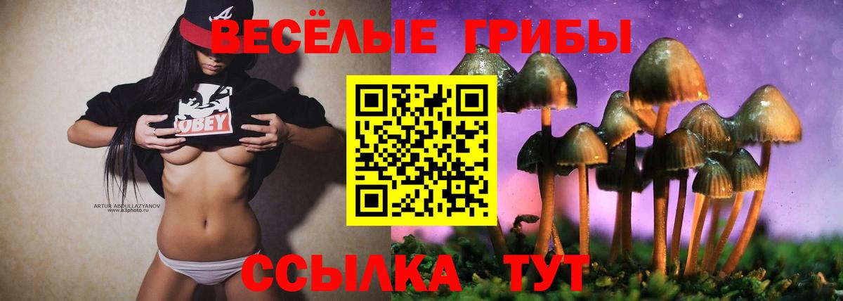 Костомукша  Псилоцибиновые грибы GOLDEN TEACHER  Вход с VPN 